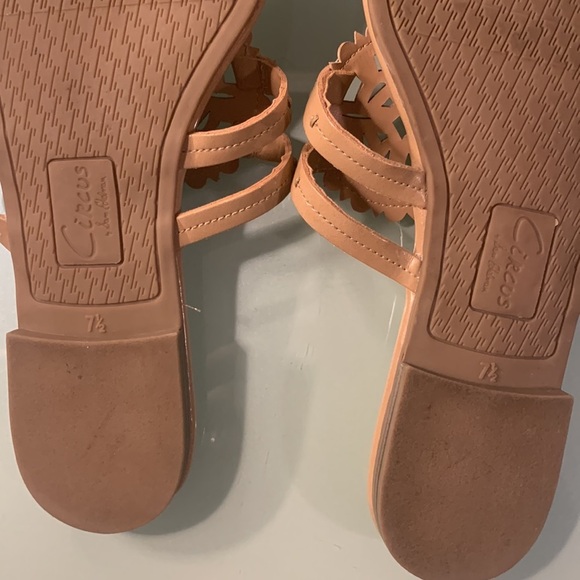 Circus by Sam Edelman Canyon medallion Sandals - Picture 4 of 4